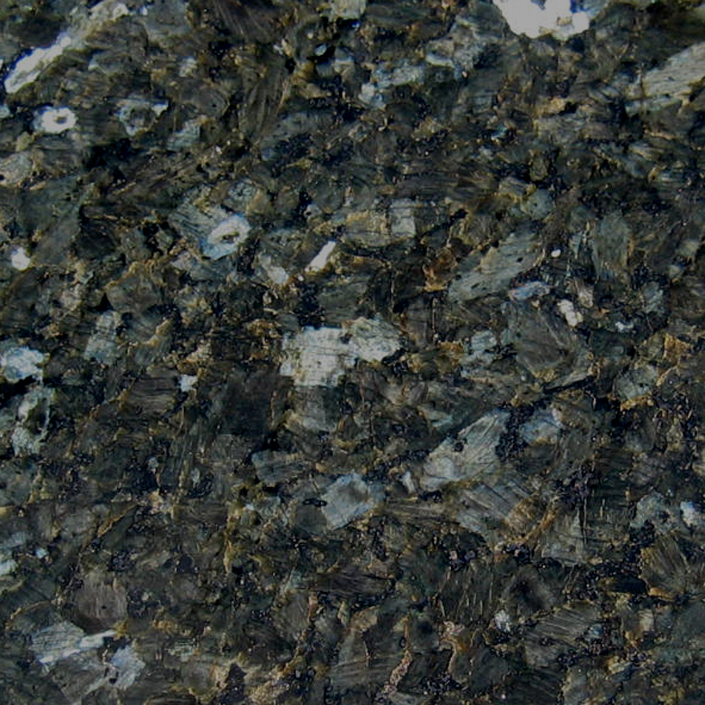 Mörk labrador - Kivilähde
