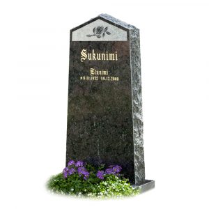 Kivilähde, hautakivet, Savon helmi