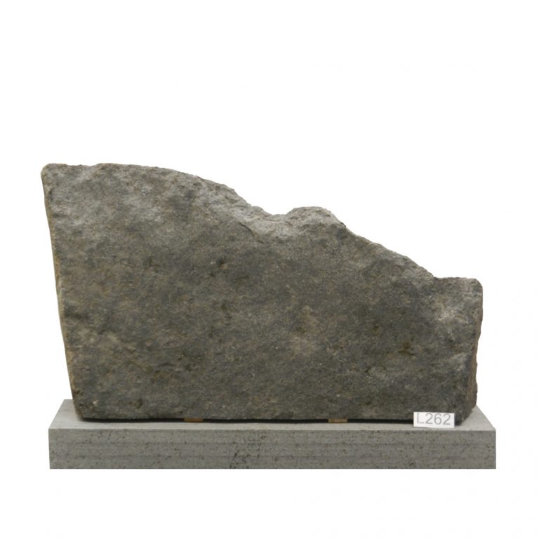 L262