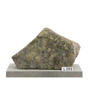L293