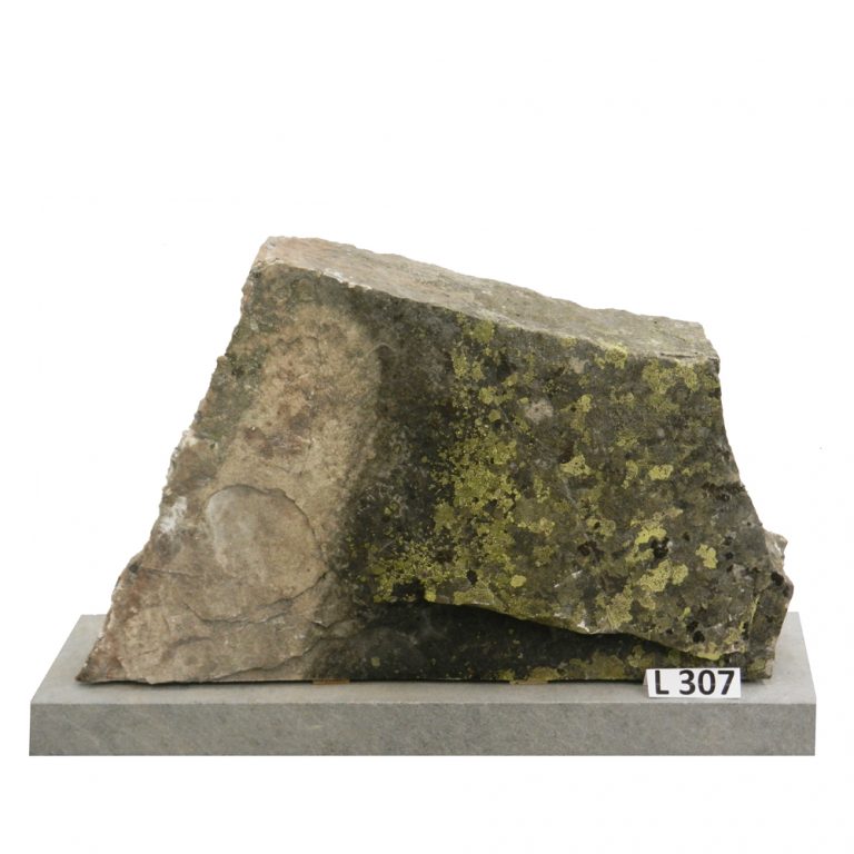 L307
