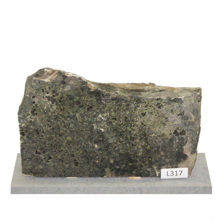 L317