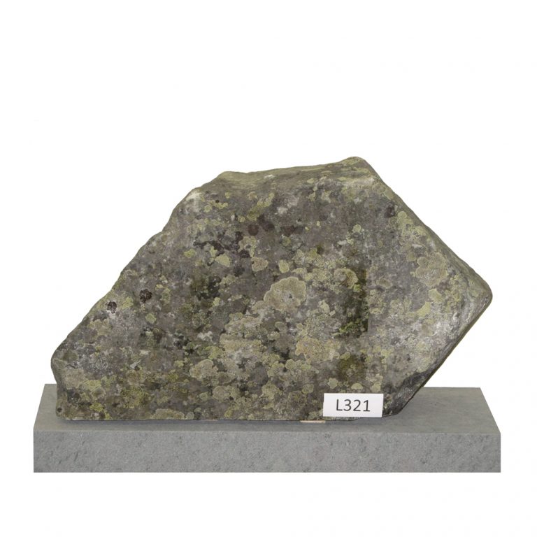 L321