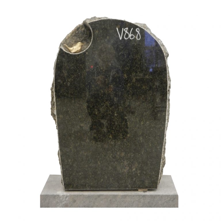 V868