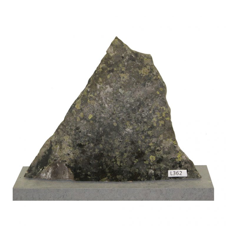 L362
