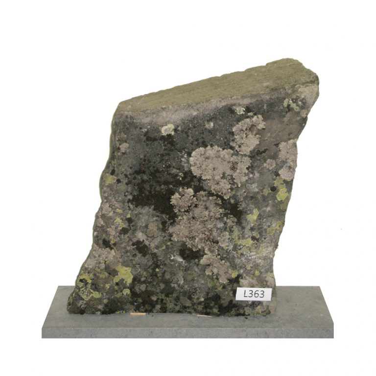 L363