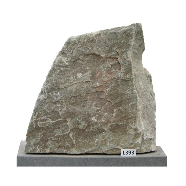 L393