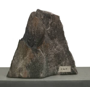 L407