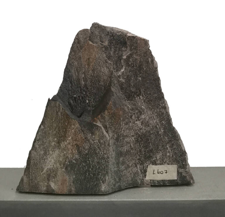 L407