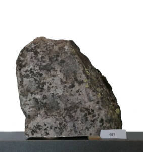L481