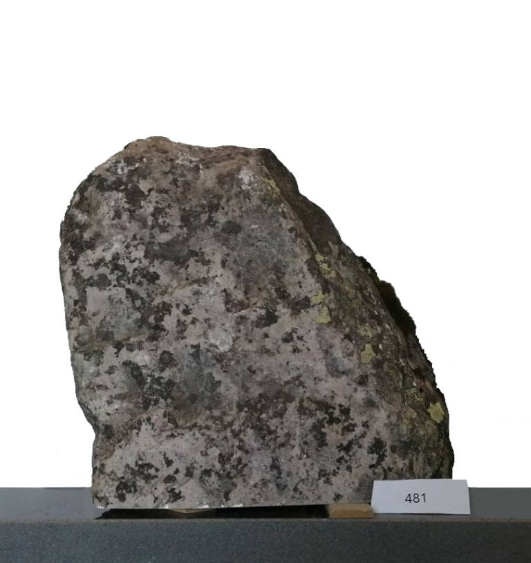 L481