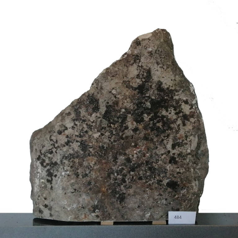 L484
