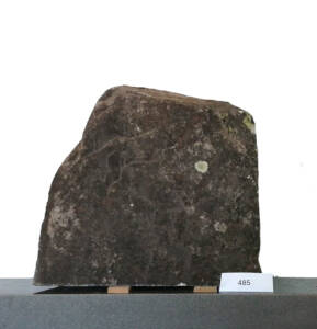 L485