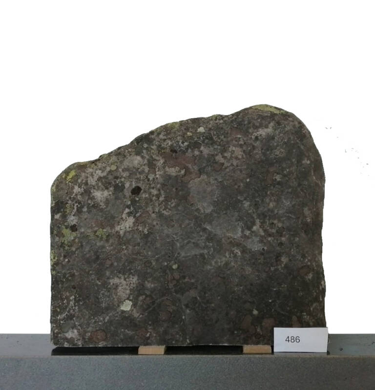 L486